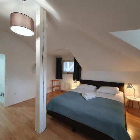 Charming Apartment Mila In Privat House With Free Parking 卢布尔雅那 外观 照片