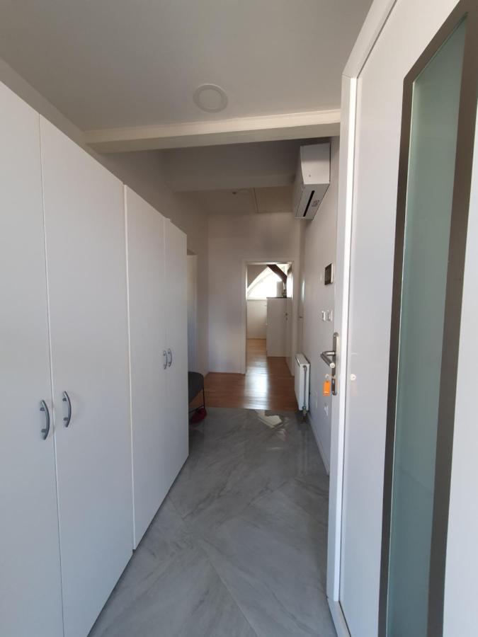 Charming Apartment Mila In Privat House With Free Parking 卢布尔雅那 外观 照片