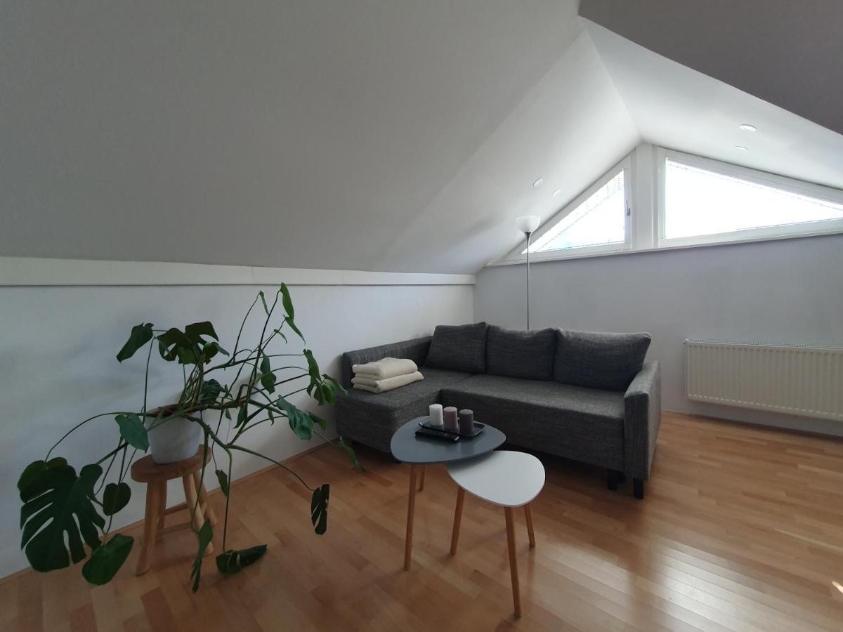 Charming Apartment Mila In Privat House With Free Parking 卢布尔雅那 外观 照片