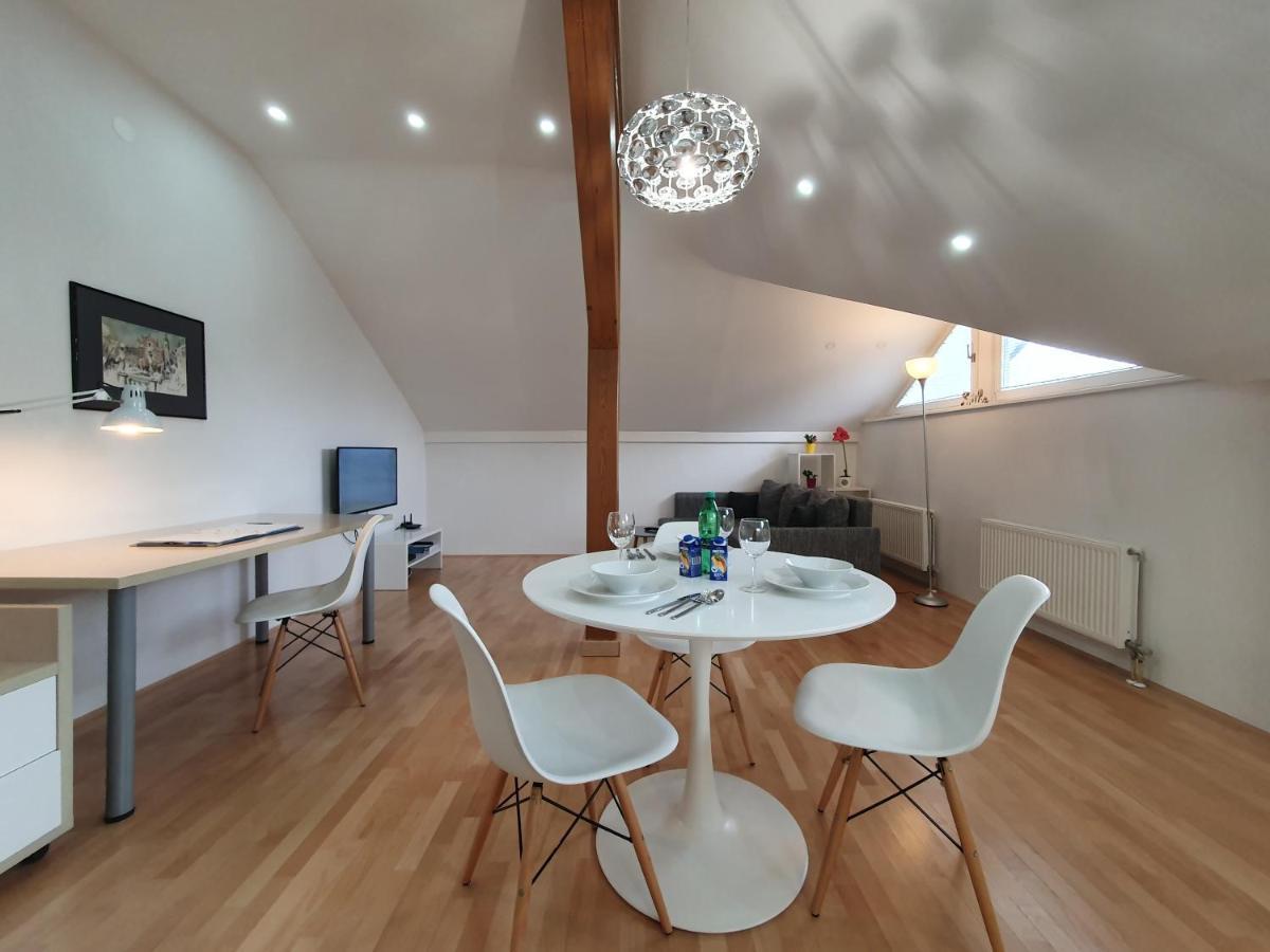 Charming Apartment Mila In Privat House With Free Parking 卢布尔雅那 外观 照片