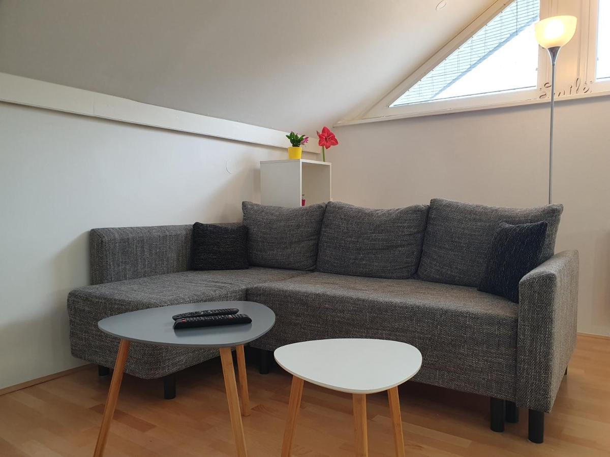 Charming Apartment Mila In Privat House With Free Parking 卢布尔雅那 外观 照片